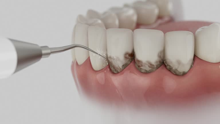 Reliable Dental contractor in New Port Richey East, FL by Dentist Open Now